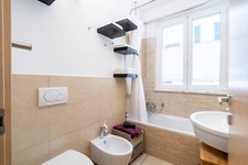 porta tenda e due tende