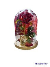 Rosa Bella e La Bestia