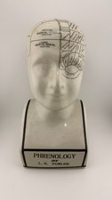 Large L.N. Fowler Phrenology