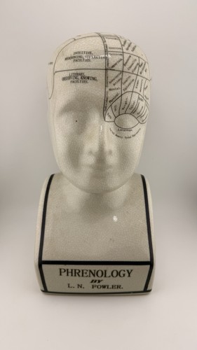 Large fowler phrenology - large, l.n.