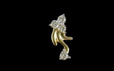 Orecchini/naso in oro 18 kt
