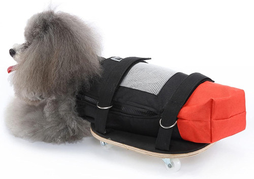 Sedia rotelle per cani - sedia, a