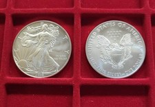 STATI UNITI DOLLARO 2010 AMERICAN SILVER EAGLE 1 oz Oncia argento 999