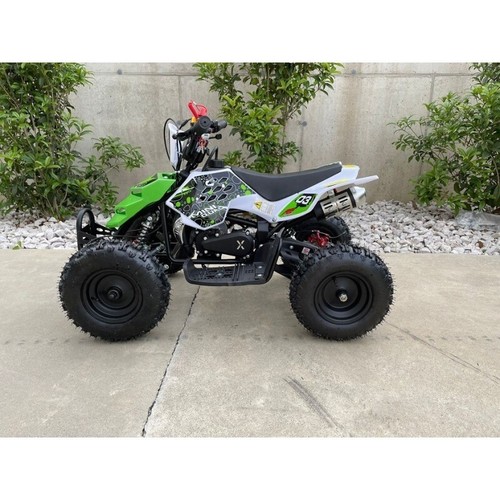 Miniquad raptor xxl 49cc quad - miniquad,
