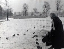 Foto vintage Animali, Piccioni con la neve, Parigi, 1976 Stampa 24 x 18 cm