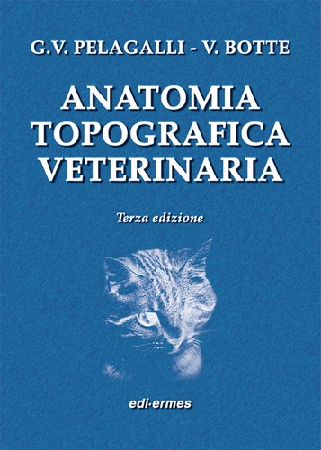 Anatomia topografica