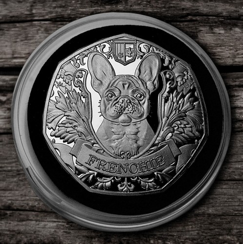 French bulldog silver - french,
