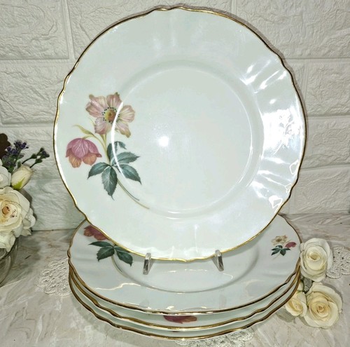 Porcellana richard ginori - ,