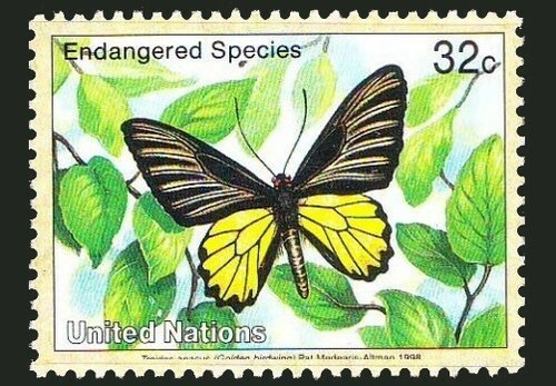 Onu 1998 mnh farfalle - onu, mnh,