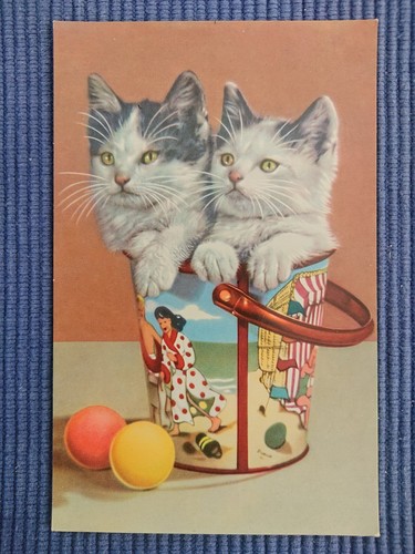 Vecchio cartolina gatti - ak,