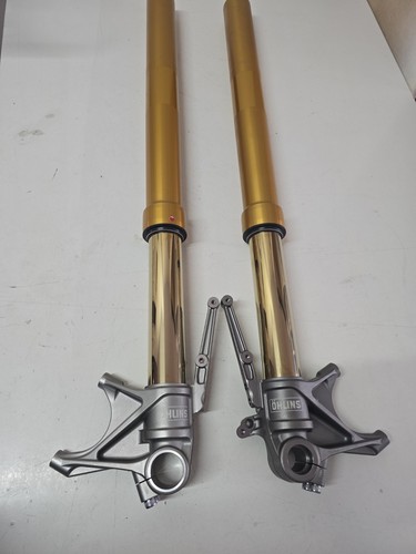 Forcella ohlins ducati - ohlins,