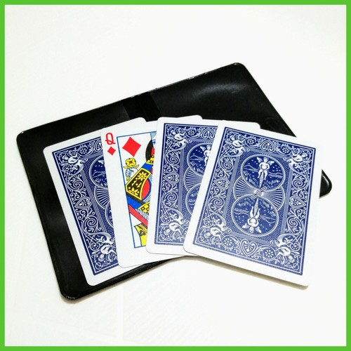 Giochi prestigio magia - prestigio,