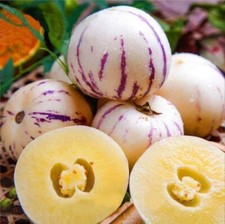 Pepino melon seed - melon,