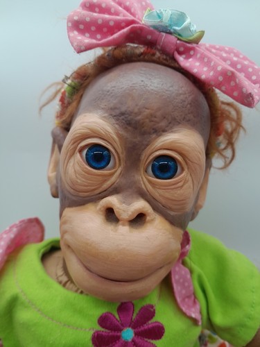 Scimmia scimpanzé orangutan - scimmia,