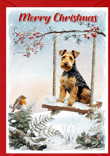 Biglietto natale welsh - biglietto,