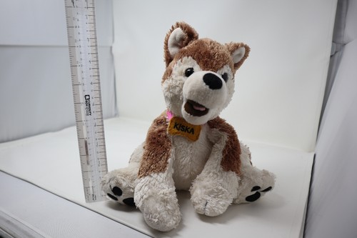Ace cane lupo circolo polare - cane,