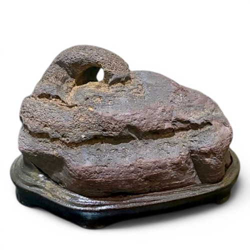 Suiseki serpente pietra - suiseki,