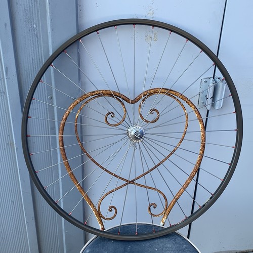 Cerchio campagnolo record - cerchio,