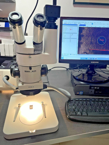 Microscopio professionale wild - microscopio,