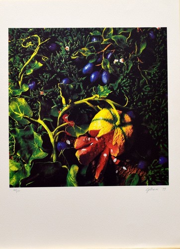 Gilardi piero serigrafia - piero, - 