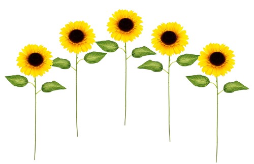 Flair flower girasoli - flair,