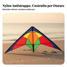 Aquilone Acrobatico a 2 Cavi
