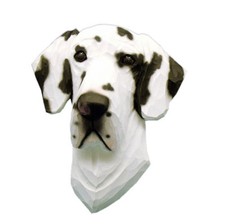 Placca Figurativa Testa Di