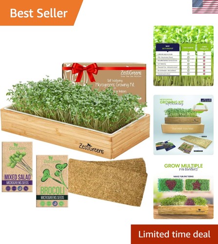Kit microgreens easy - microgreens,