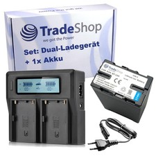 Set 2 in 1: batteria agli ioni