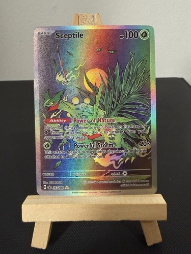 Sceptile pokemon card display - pokemon,
