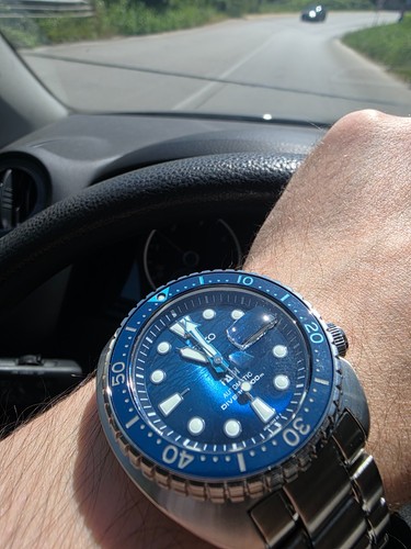 Seiko king turtle - king,