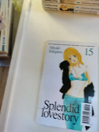 Splendid lovestory 15 - splendid,