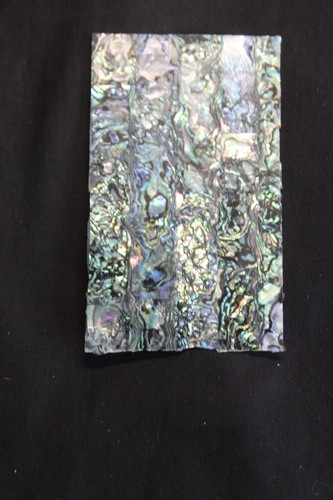 Green abalone thin sheet - thin,