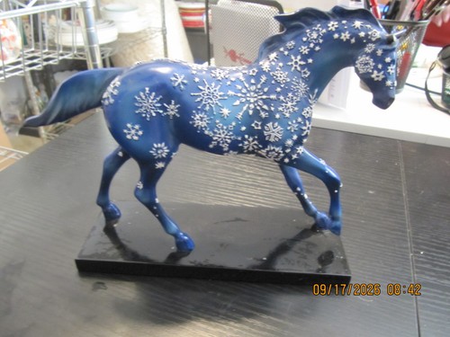 2004 sentiero dei pony - 2004,