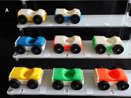 Auto giocattolo fisher price - giocattolo,
