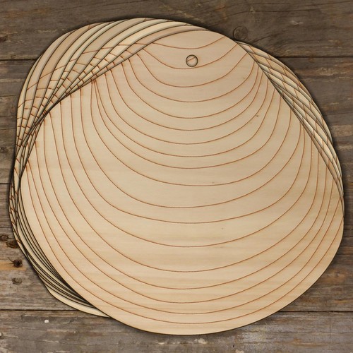 10x conchiglia mare legno - 10x,