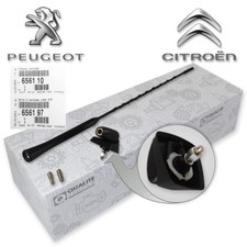 ASTA ANTENNA + BASE ANTENNA PER PEUGEOT 106 206 406 PARTNER ANTENNA TETTO ANTENNA