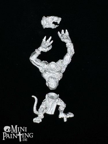 Warhammer fantasy skaven rat - fantasy,