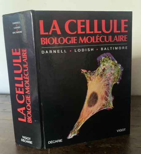 Darnell lodish baltimore - -,