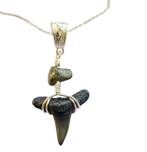 Collana con dente squalo - con,