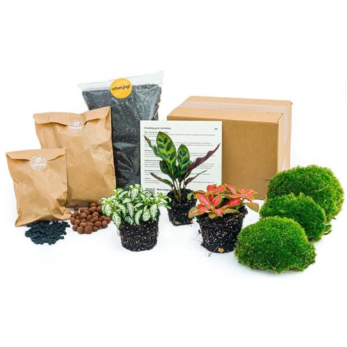Set iniziale per piante - , da