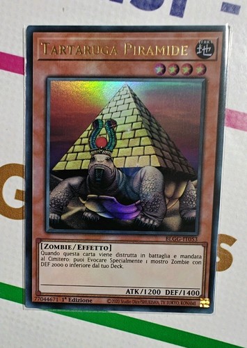 Tartaruga piramide - tartaruga,