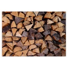 Fotomurale in tessuto non