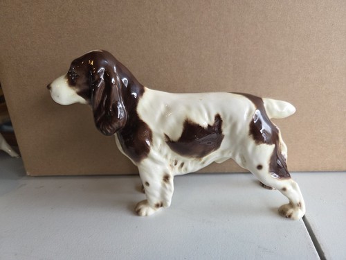 Goebel english springer - goebel,