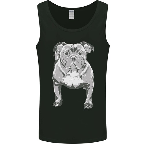 American bully posizione - in,