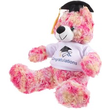  Orso Della Laurea Comodo