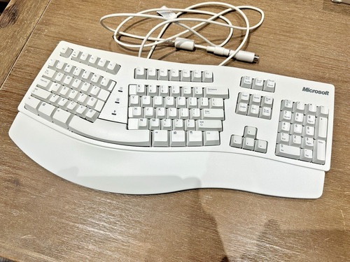 Vintage 1995 microsoft - 1995, natural