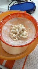 Fermenti lattici vivi 10 - gr,