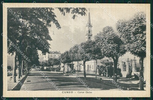 Cuneo città corso gesso - città,