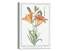 Quadro stampa su tela con